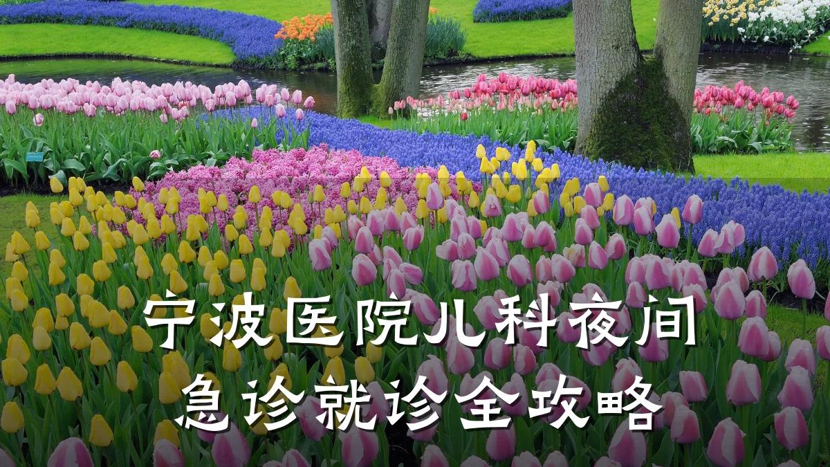 宁波医院儿科夜间急诊就诊全攻略