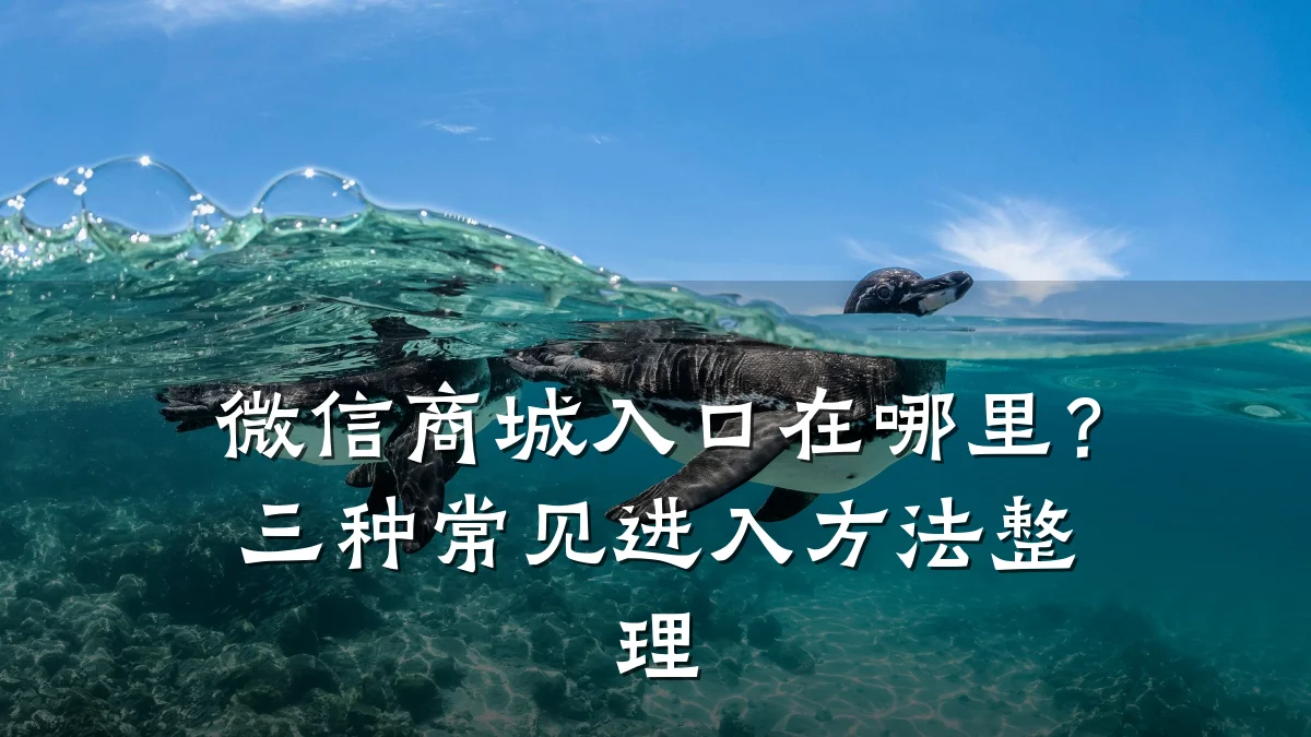 微信商城入口在哪里?三种常见进入方法整理