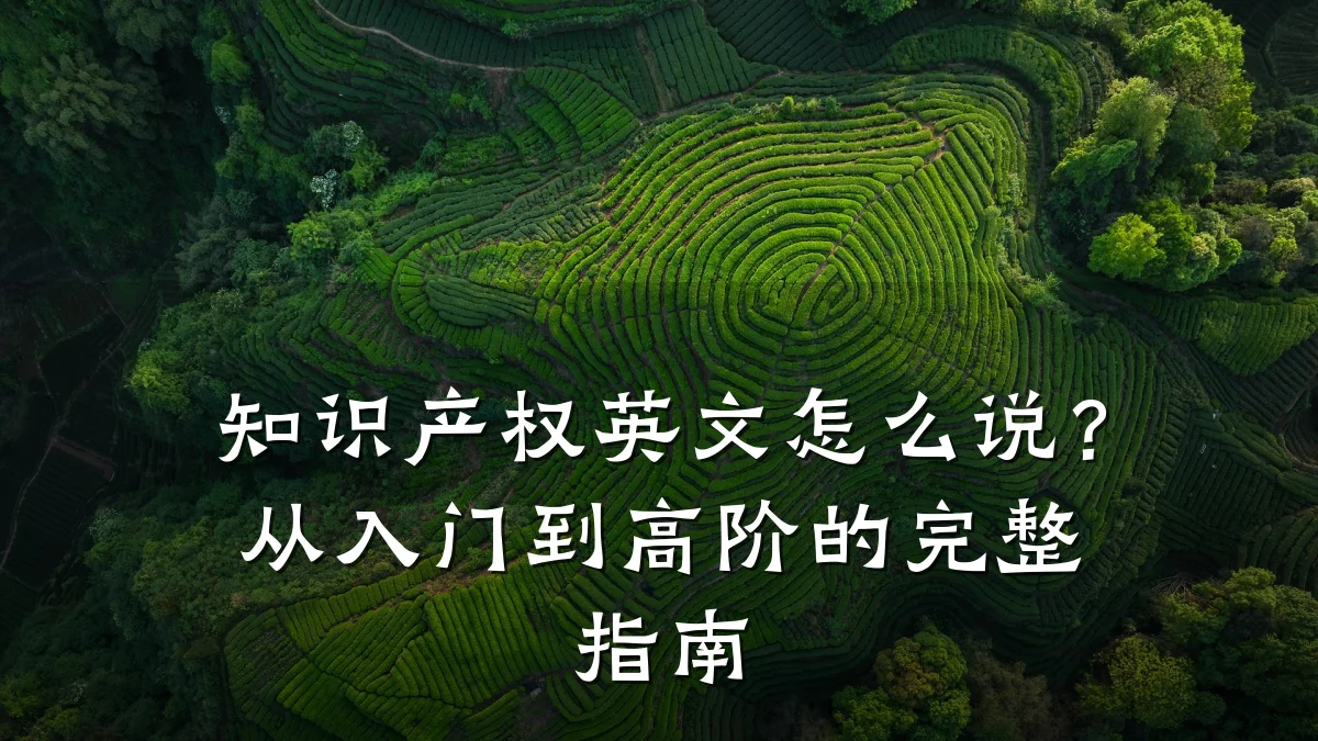 知识产权英文怎么说?从入门到高阶的完整指南