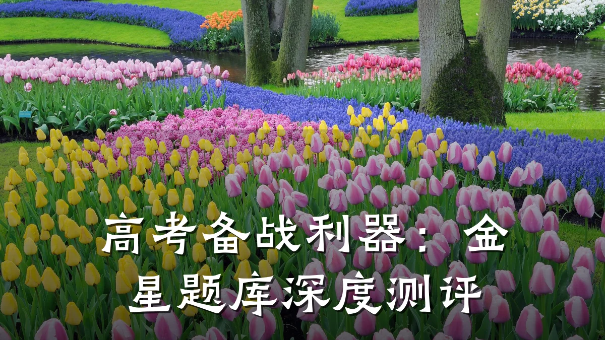 高考备战利器:金星题库深度测评