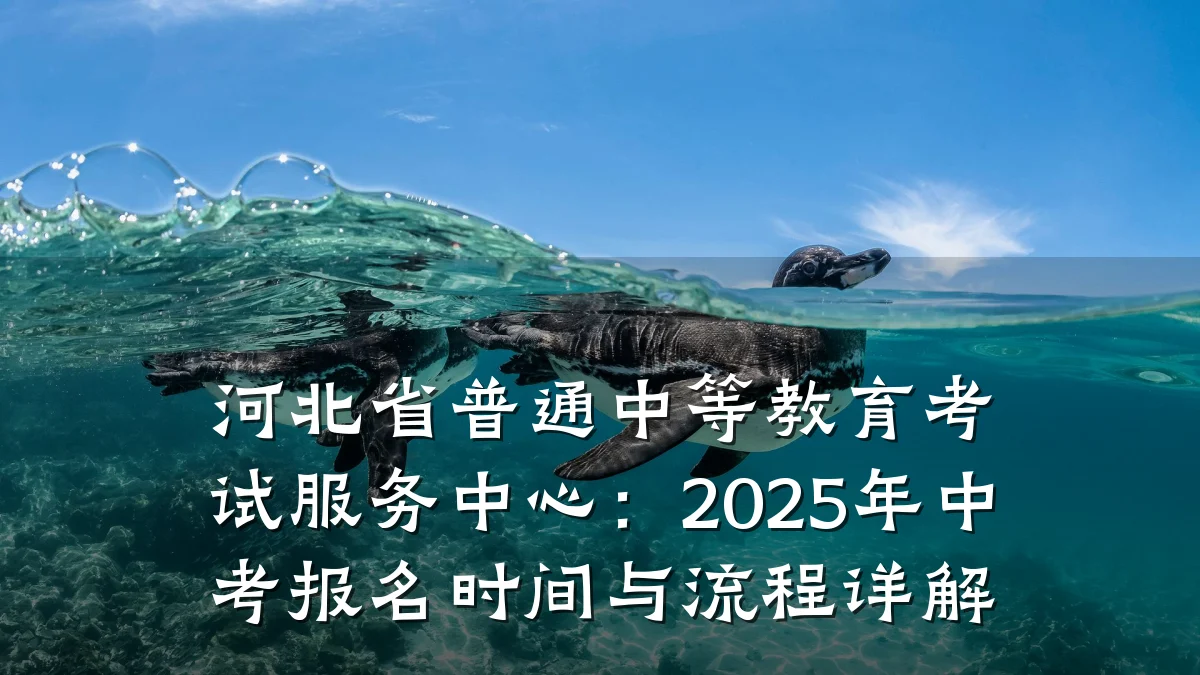 河北省普通中等教育考试服务中心：2025年中考报名时间与流程详解