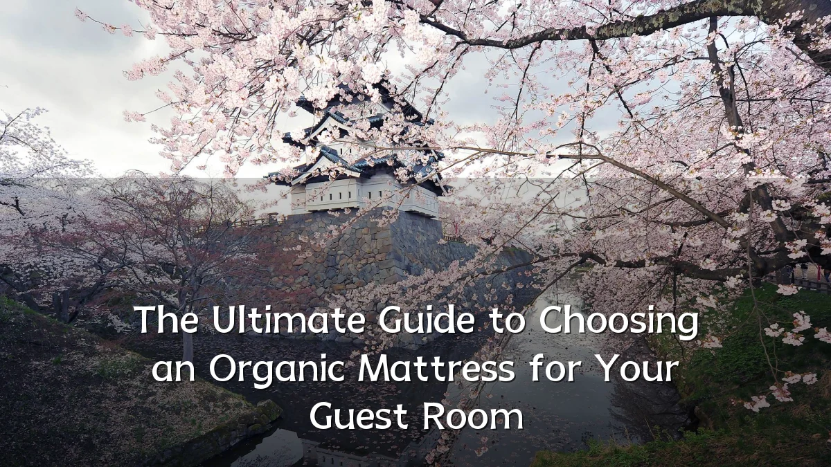 The Ultimate Guide to Choosing an Organic Mattress for Your Guest Room