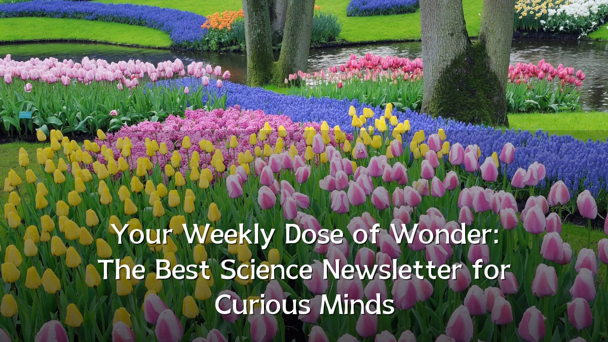 Your Weekly Dose of Wonder: The Best Science Newsletter for Curious Minds