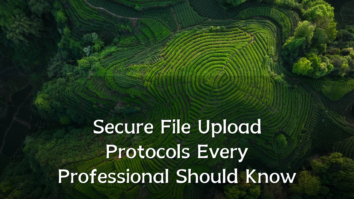 Secure File Upload Protocols Every Professional Should Know