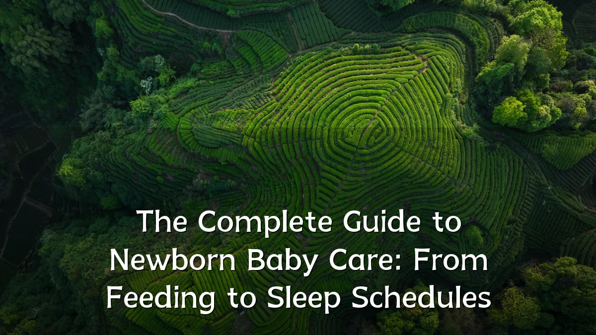 The Complete Guide to Newborn Baby Care: From Feeding to Sleep Schedules