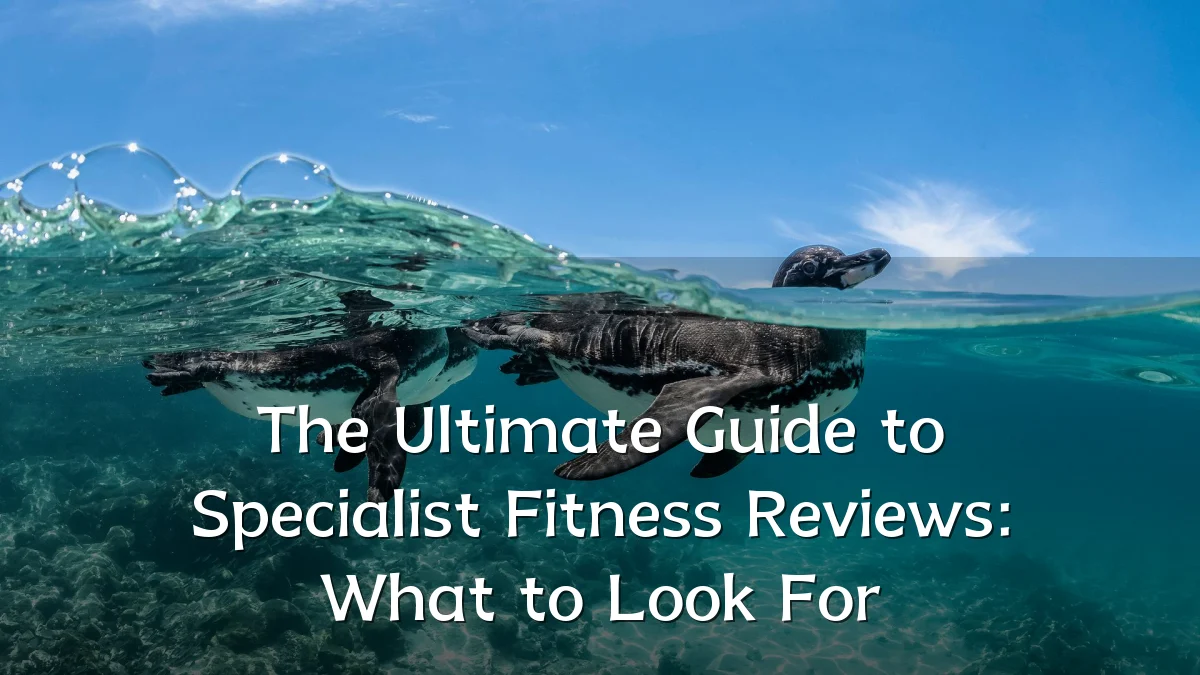 The Ultimate Guide to Specialist Fitness Reviews: What to Look For