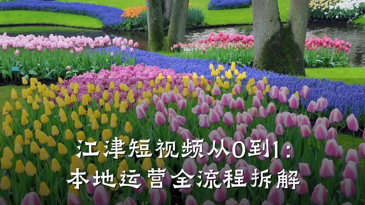 江津短视频从0到1：本地运营全流程拆解