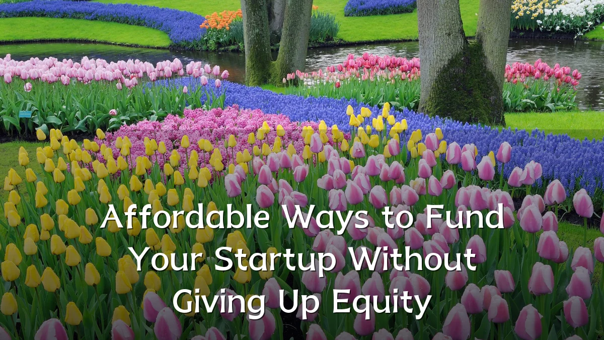 Affordable Ways to Fund Your Startup Without Giving Up Equity