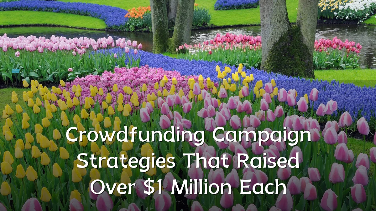 Crowdfunding Campaign Strategies That Raised Over $1 Million Each