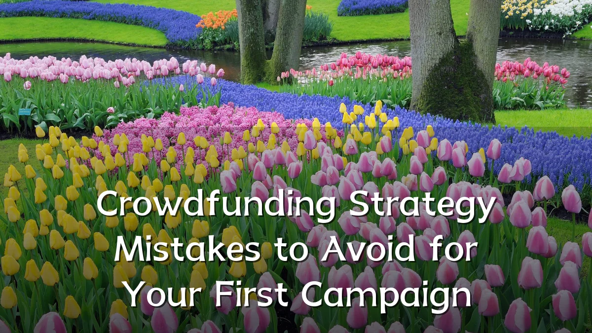 Crowdfunding Strategy Mistakes to Avoid for Your First Campaign