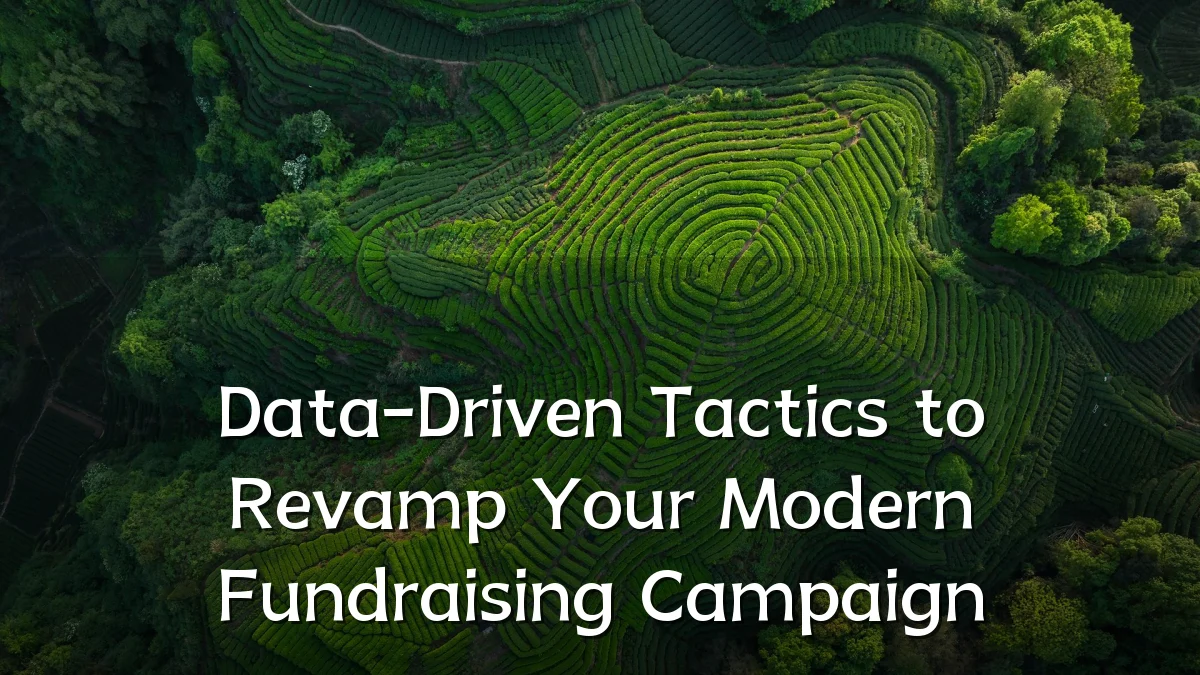 Data-Driven Tactics to Revamp Your Modern Fundraising Campaign