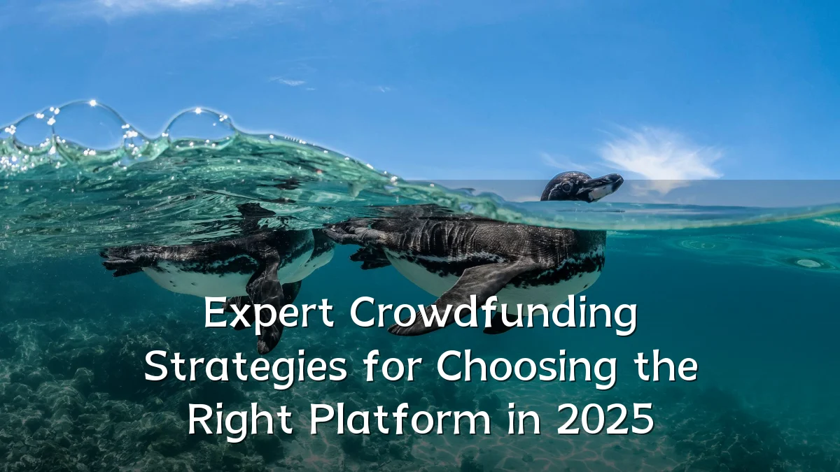 Expert Crowdfunding Strategies for Choosing the Right Platform in 2025