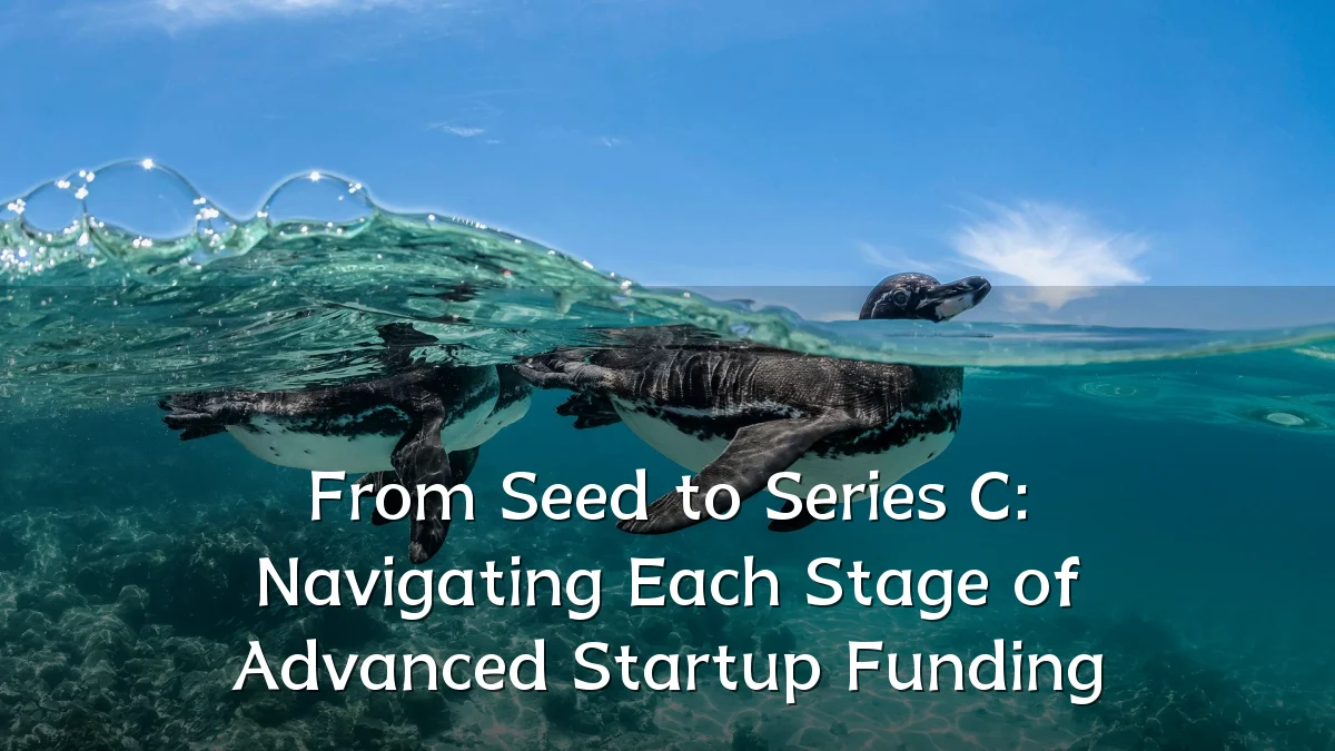 From Seed to Series C: Navigating Each Stage of Advanced Startup Funding