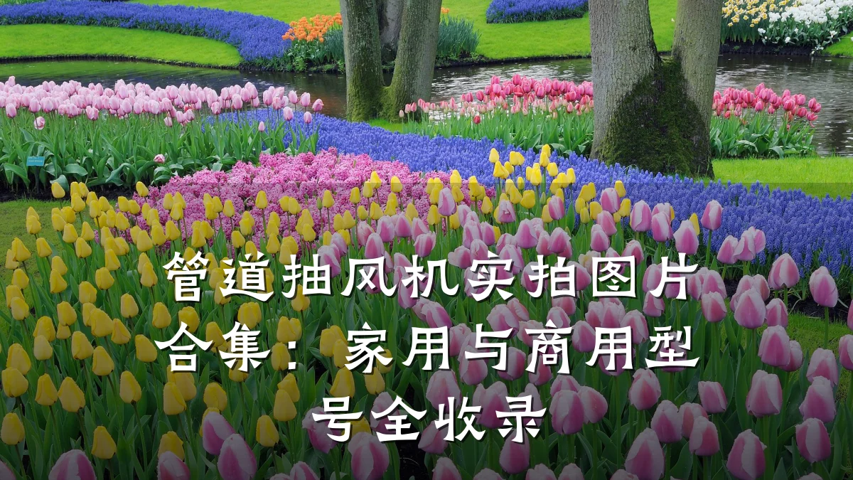 管道抽风机实拍图片合集:家用与商用型号全收录