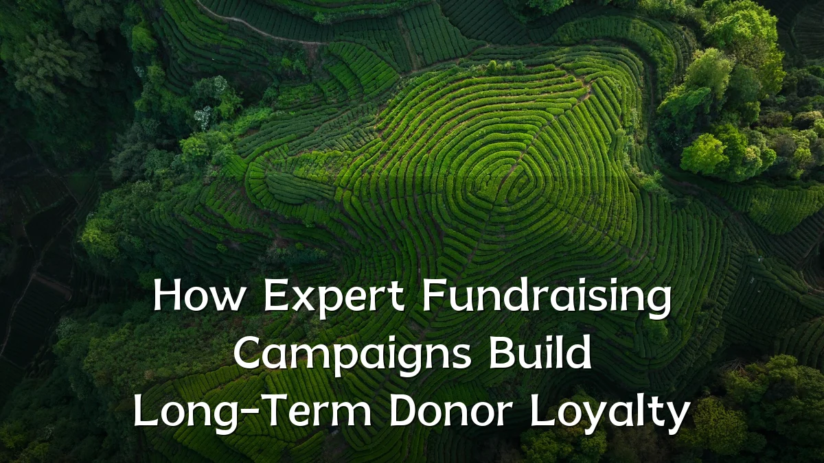 How Expert Fundraising Campaigns Build Long-Term Donor Loyalty