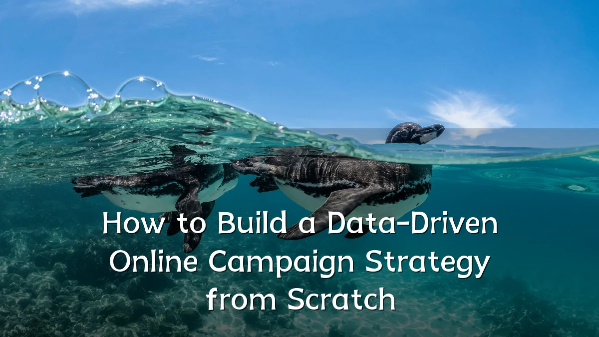 How to Build a Data-Driven Online Campaign Strategy from Scratch