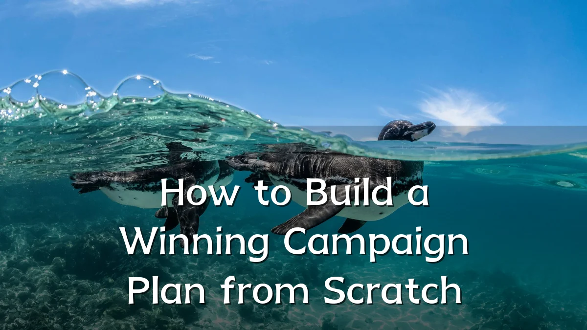 How to Build a Winning Campaign Plan from Scratch