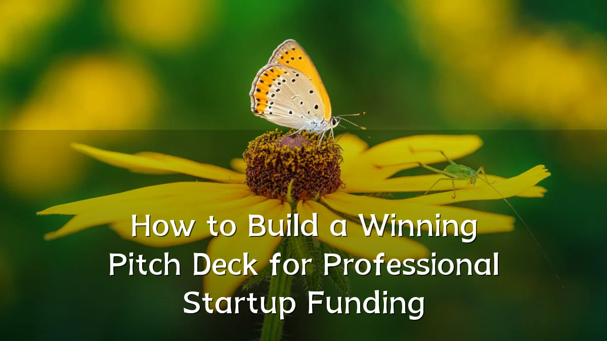 How to Build a Winning Pitch Deck for Professional Startup Funding