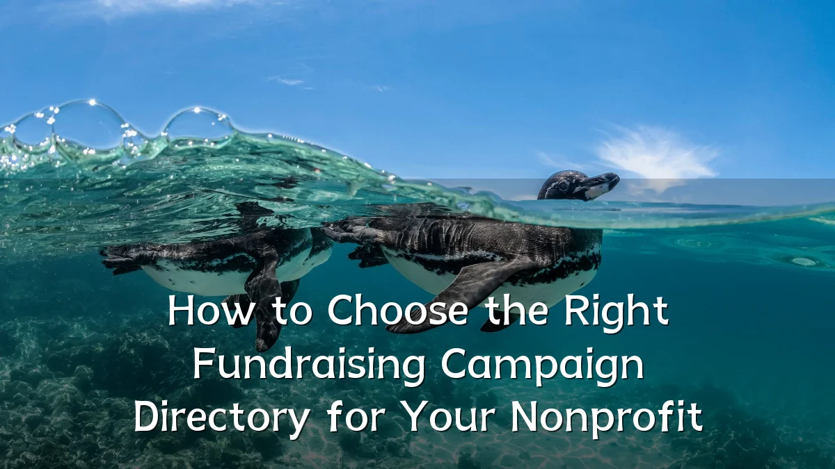 How to Choose the Right Fundraising Campaign Directory for Your Nonprofit