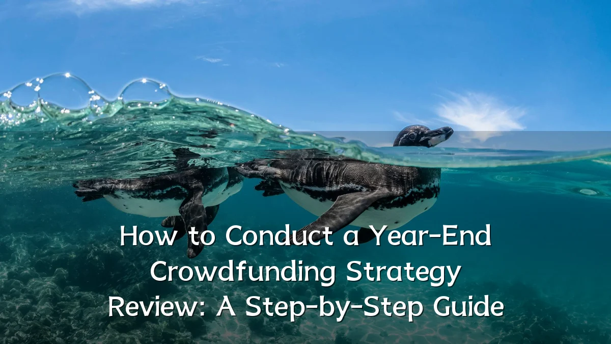 How to Conduct a Year-End Crowdfunding Strategy Review: A Step-by-Step Guide