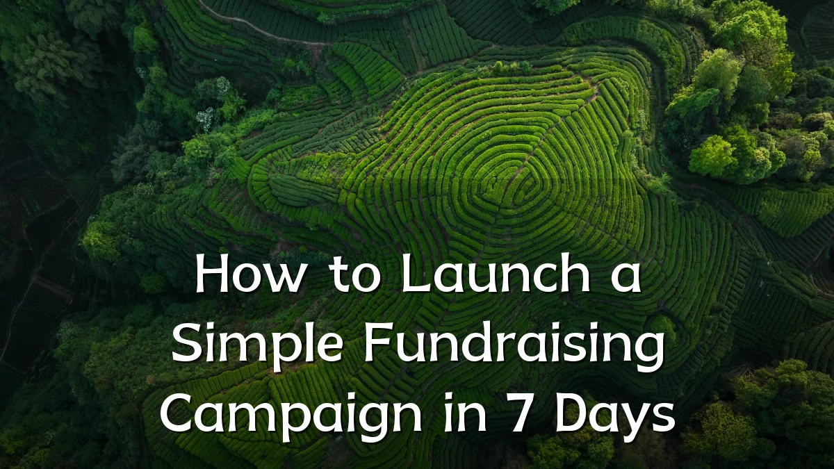 How to Launch a Simple Fundraising Campaign in 7 Days