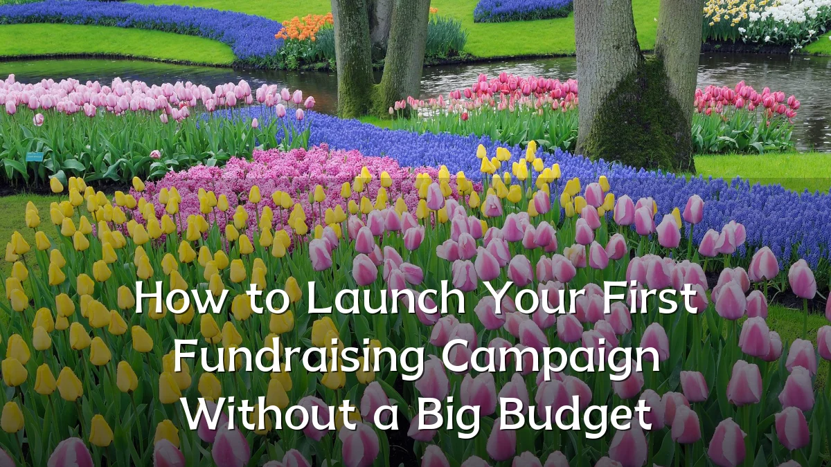 How to Launch Your First Fundraising Campaign Without a Big Budget