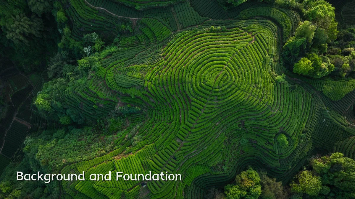 Background and Foundation