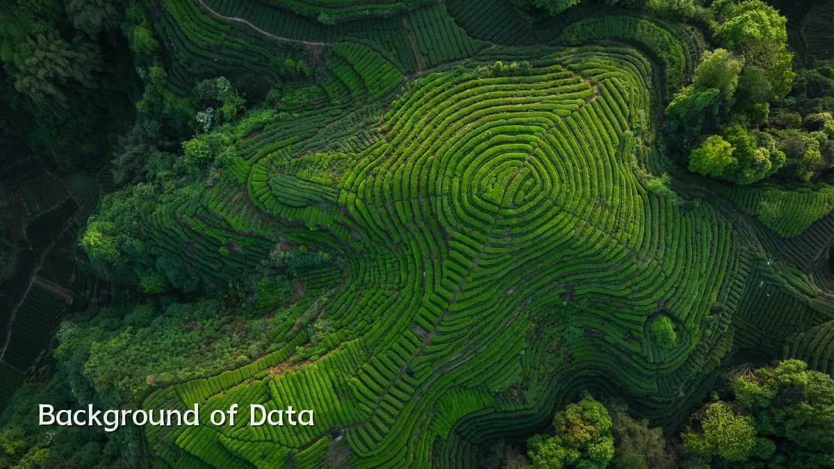 Background of Data