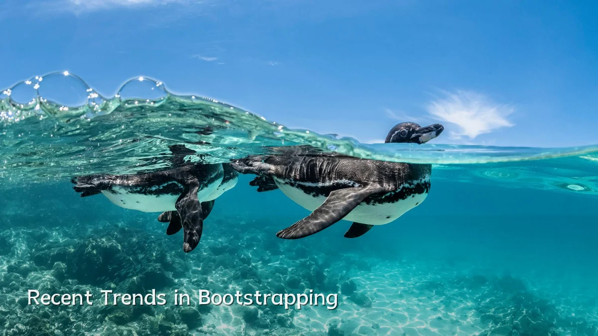 Recent Trends in Bootstrapping