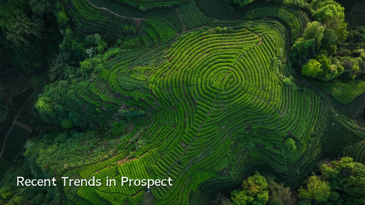 Recent Trends in Prospect