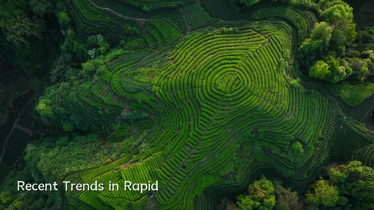 Recent Trends in Rapid