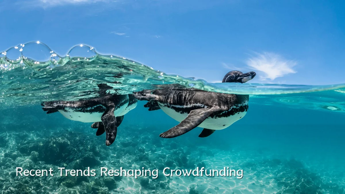 Recent Trends Reshaping Crowdfunding