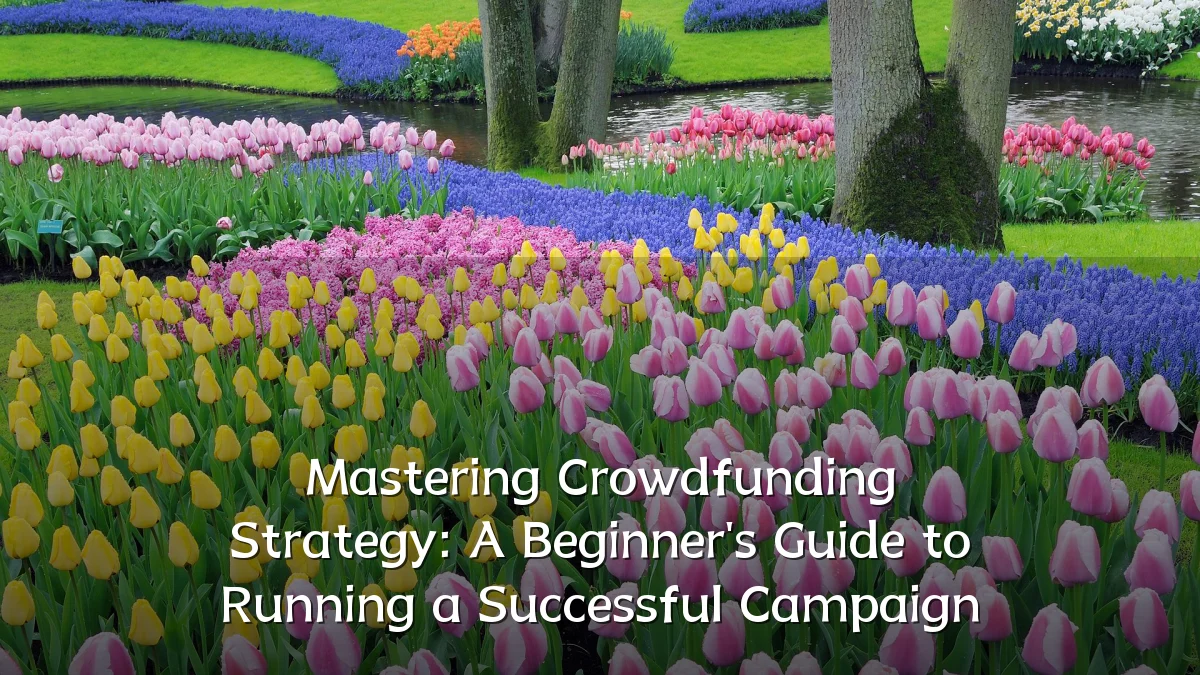 Mastering Crowdfunding Strategy: A Beginner's Guide to Running a Successful Campaign