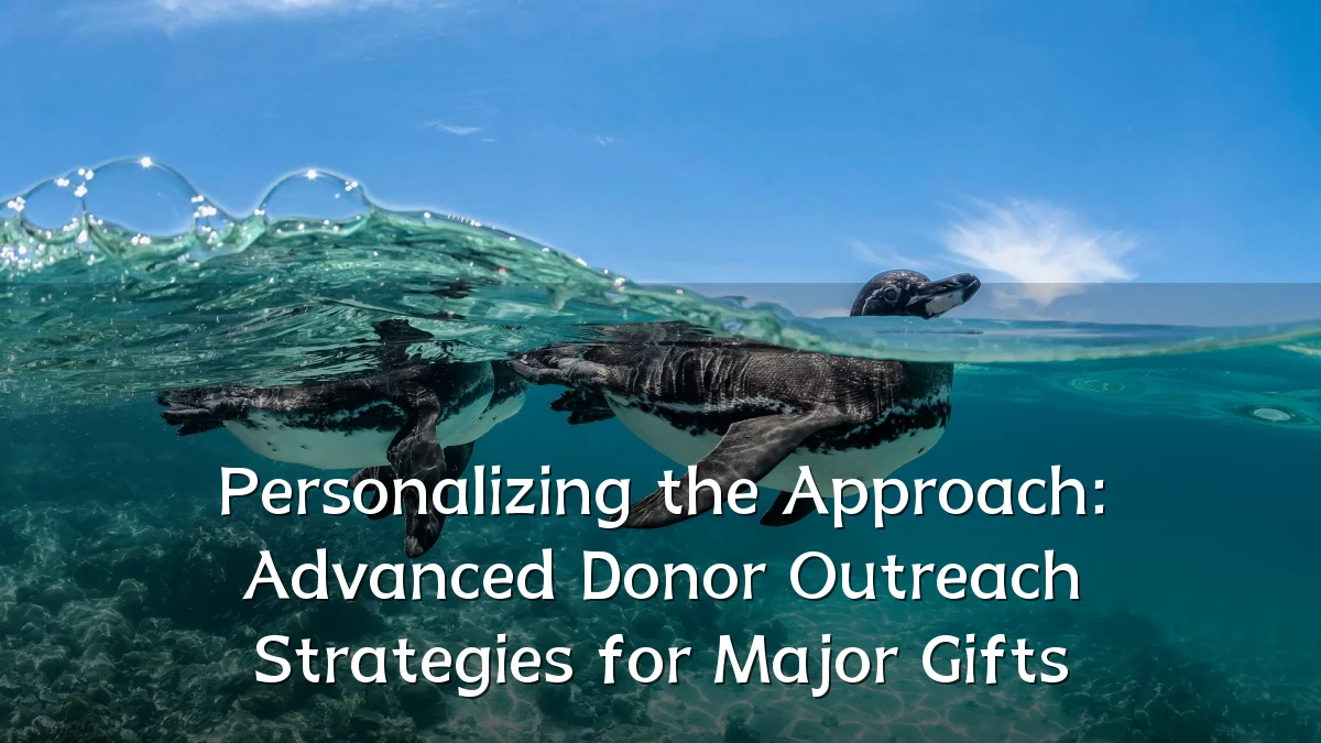 Personalizing the Approach: Advanced Donor Outreach Strategies for Major Gifts