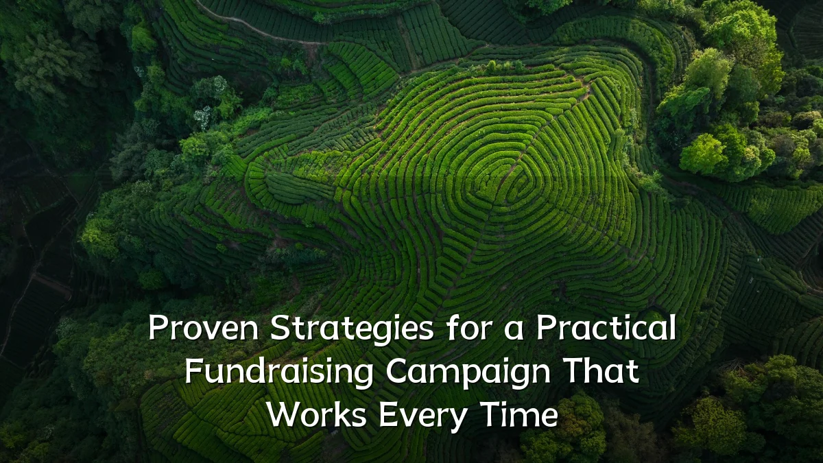 Proven Strategies for a Practical Fundraising Campaign That Works Every Time