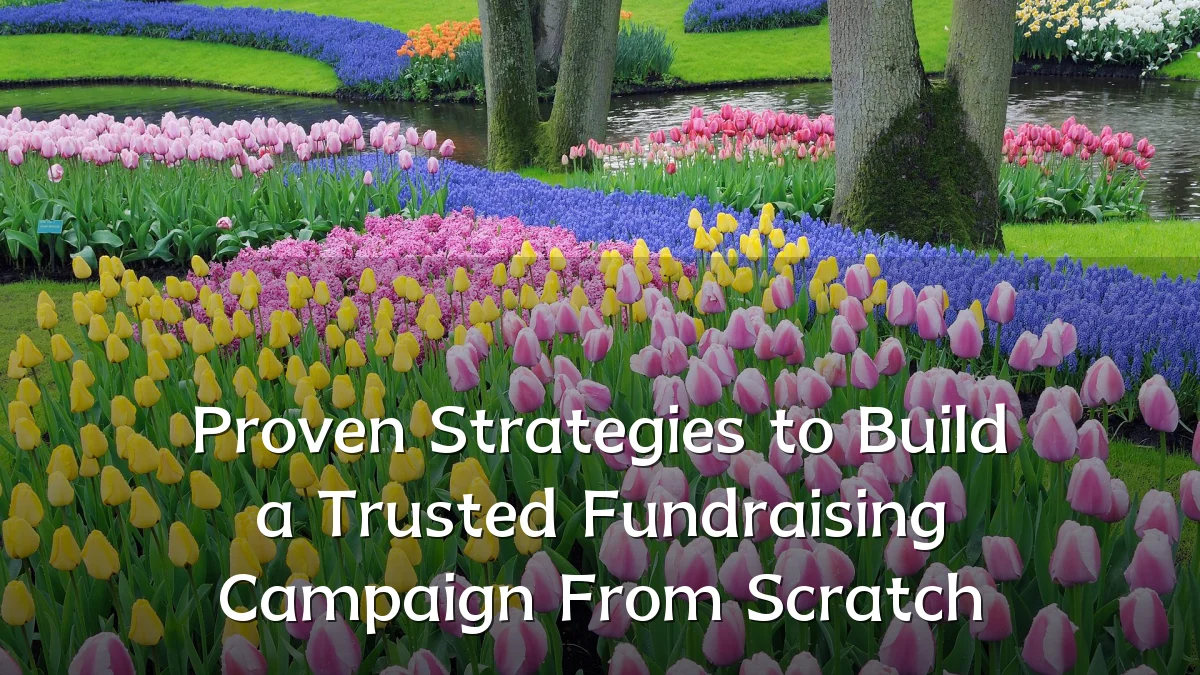 Proven Strategies to Build a Trusted Fundraising Campaign From Scratch