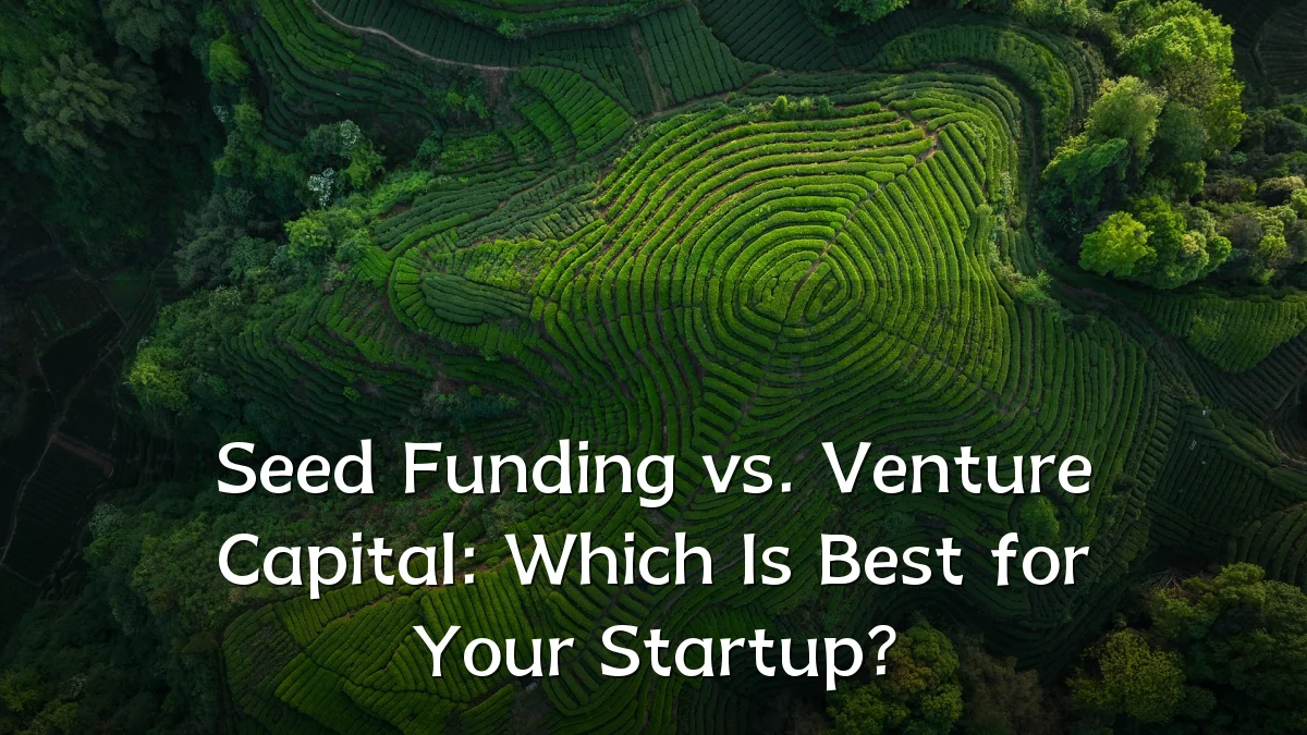 Seed Funding vs. Venture Capital: Which Is Best for Your Startup?