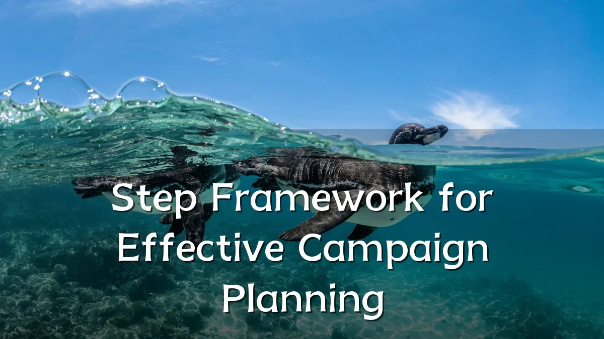Step Framework for Effective Campaign Planning