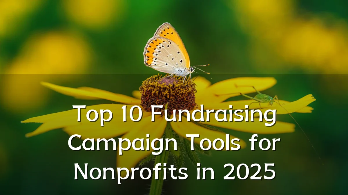 Top 10 Fundraising Campaign Tools for Nonprofits in 2025
