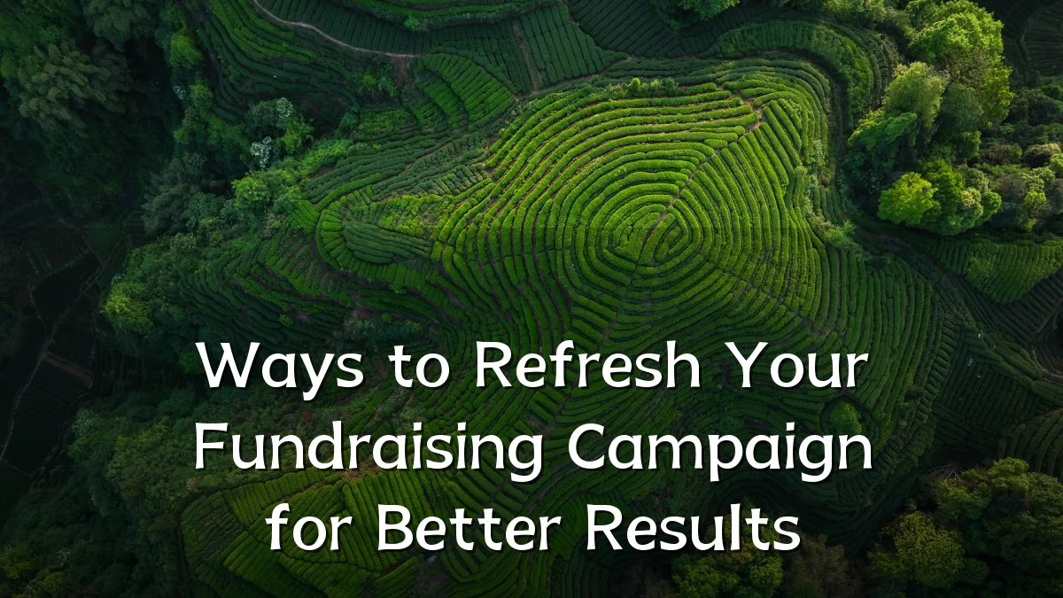 Ways to Refresh Your Fundraising Campaign for Better Results