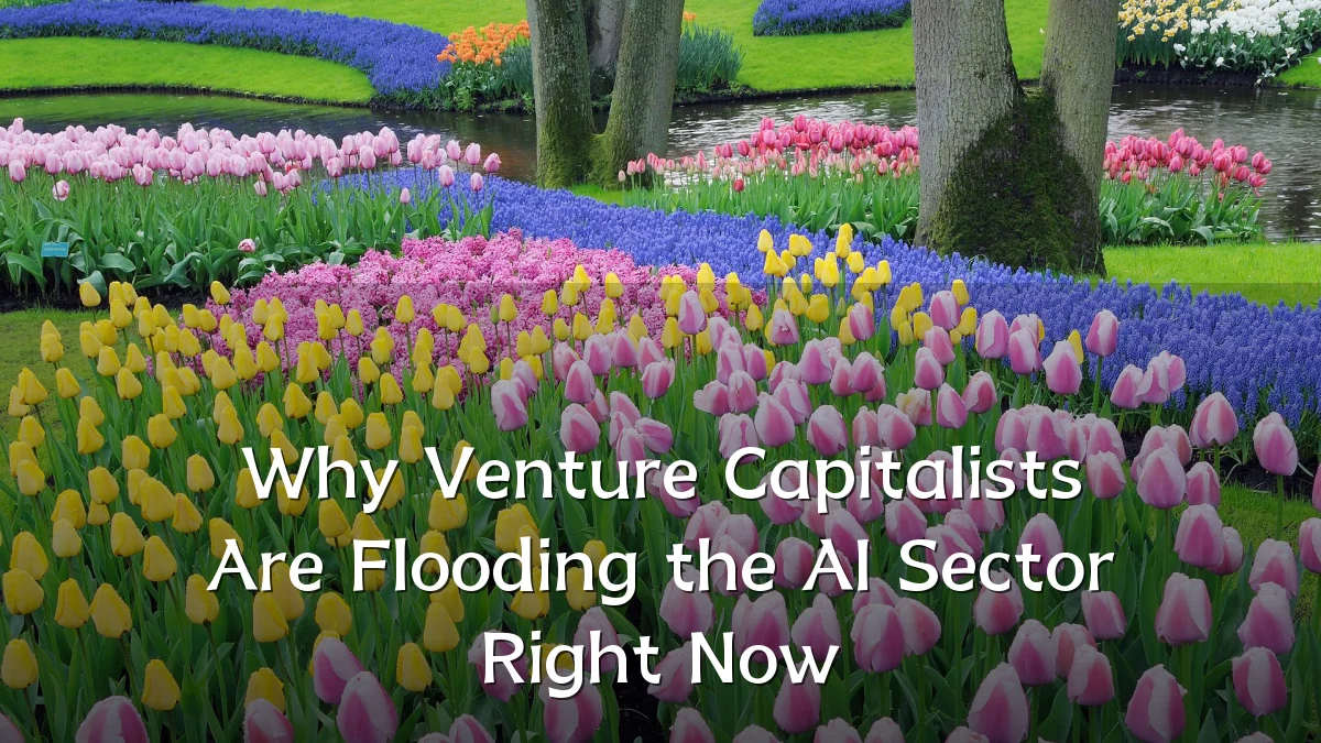Why Venture Capitalists Are Flooding the AI Sector Right Now