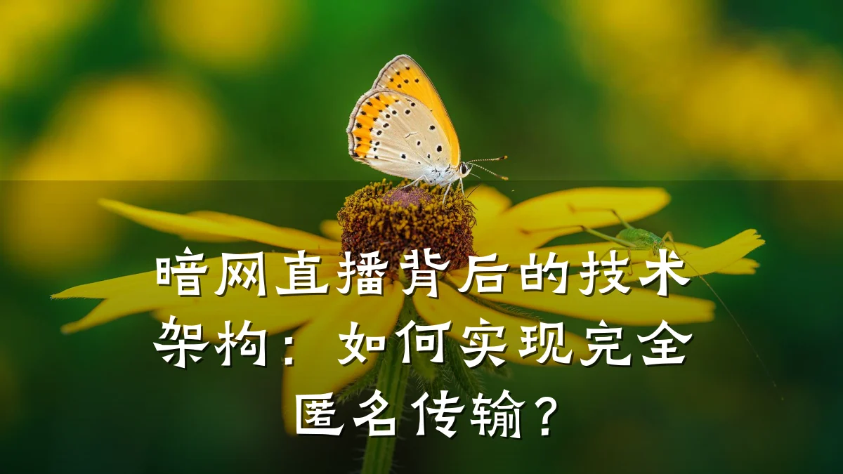 暗网直播背后的技术架构:如何实现完全匿名传输?