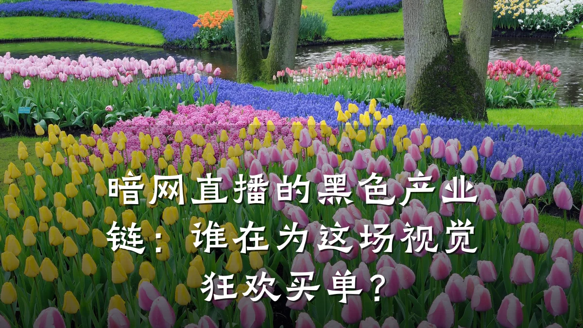 暗网直播的黑色产业链:谁在为这场视觉狂欢买单?