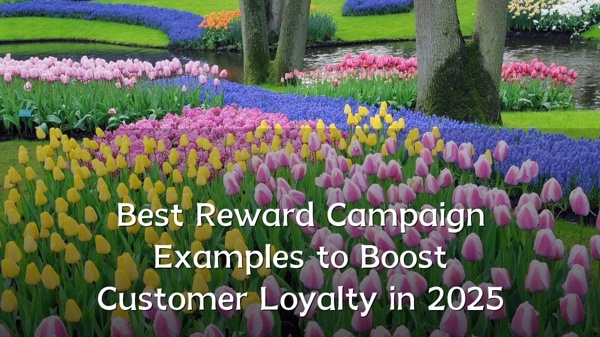Best Reward Campaign Examples to Boost Customer Loyalty in 2025