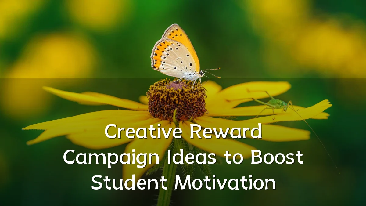 Creative Reward Campaign Ideas to Boost Student Motivation