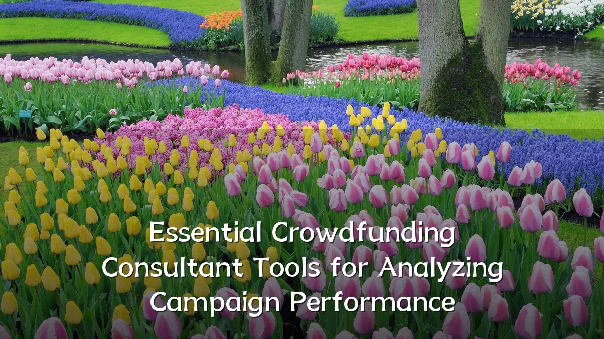 Essential Crowdfunding Consultant Tools for Analyzing Campaign Performance