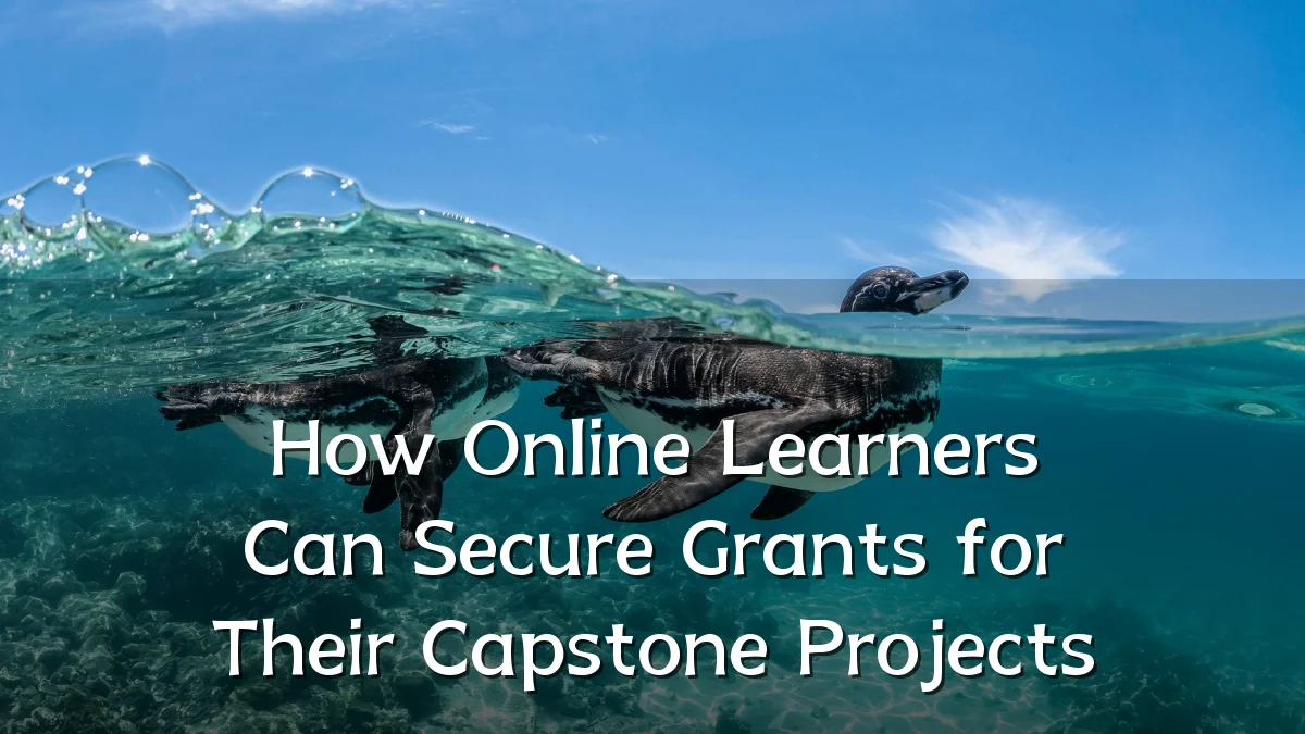 How Online Learners Can Secure Grants for Their Capstone Projects