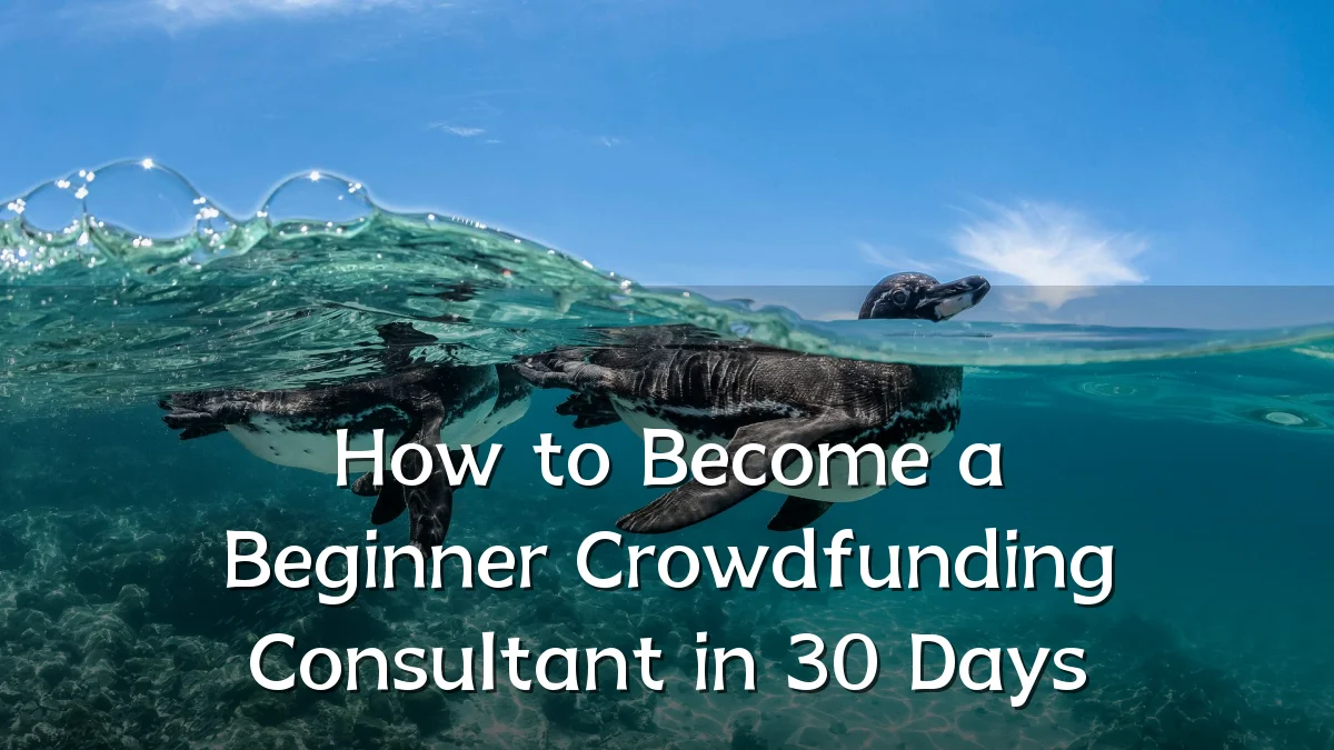 How to Become a Beginner Crowdfunding Consultant in 30 Days