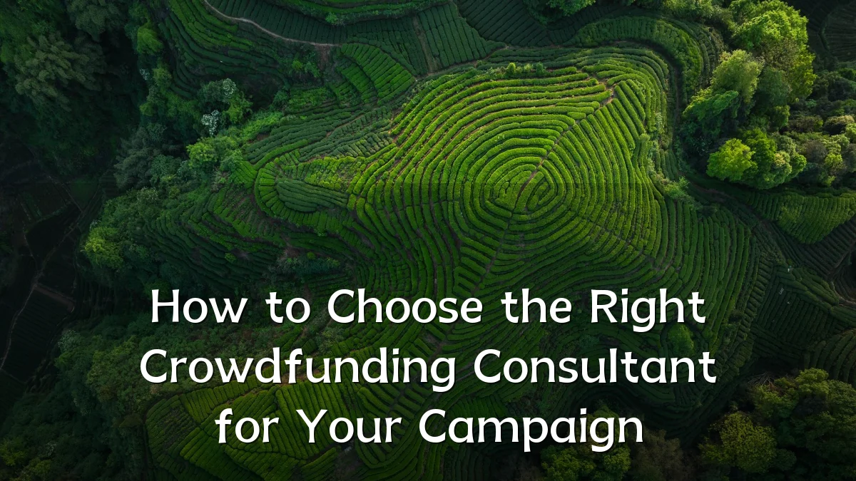 How to Choose the Right Crowdfunding Consultant for Your Campaign