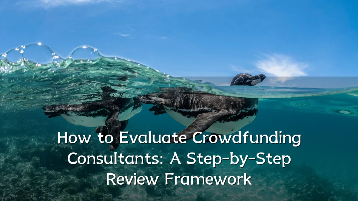 How to Evaluate Crowdfunding Consultants: A Step-by-Step Review Framework